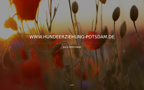www.hundeerziehung-potsdam.de