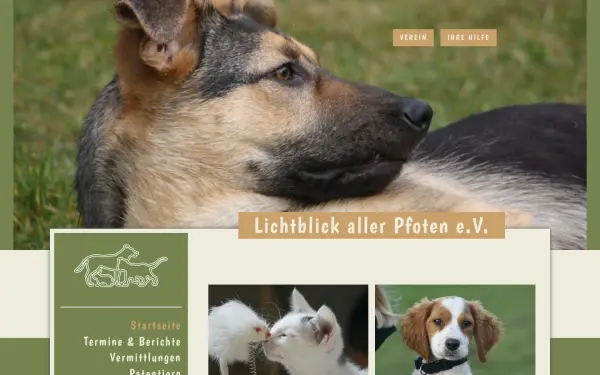 www.lichtblickallerpfoten.de