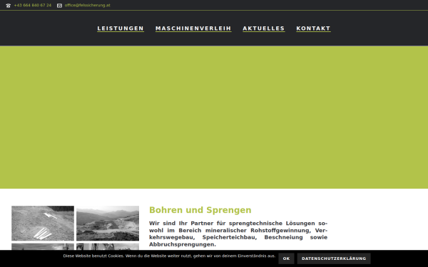 felssicherung.at