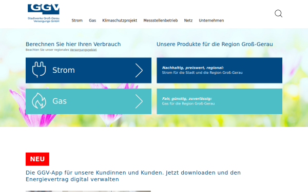 ggv-energie.de