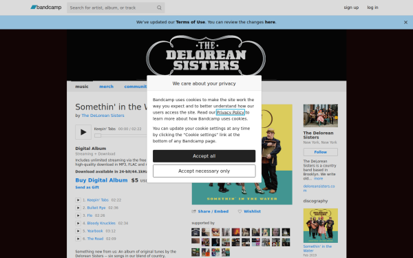 deloreansisters.bandcamp.com
