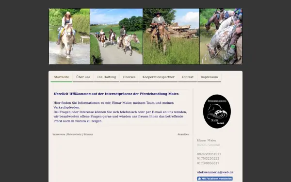www.maiers-top-pferde.de