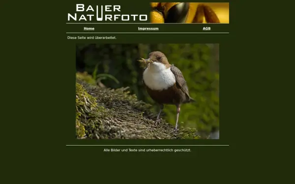 www.bauer-naturfoto.de