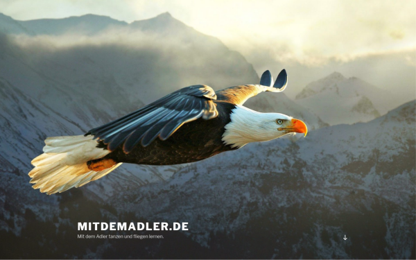 mitdemadler.de