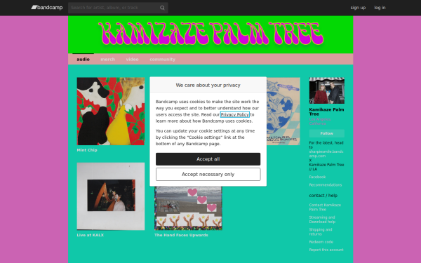 kamikazepalmtree.bandcamp.com
