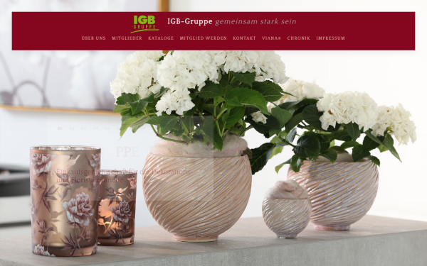 www.igb-gruppe.de
