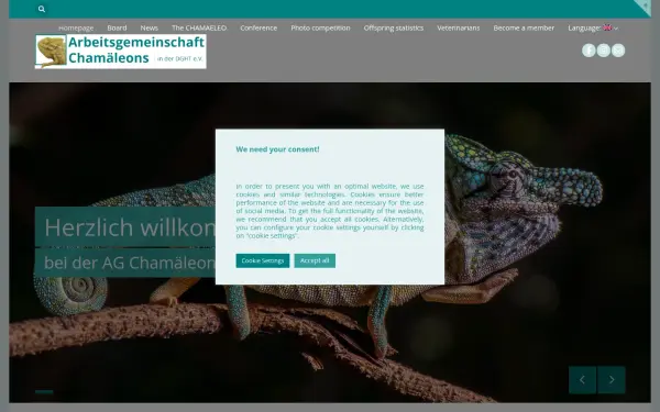 www.agchamaeleons.de