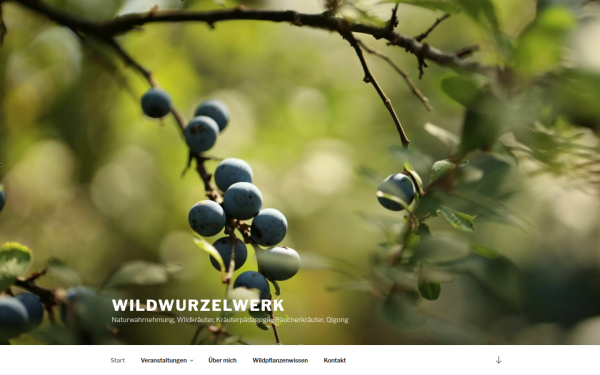 wildwurzelwerk.at