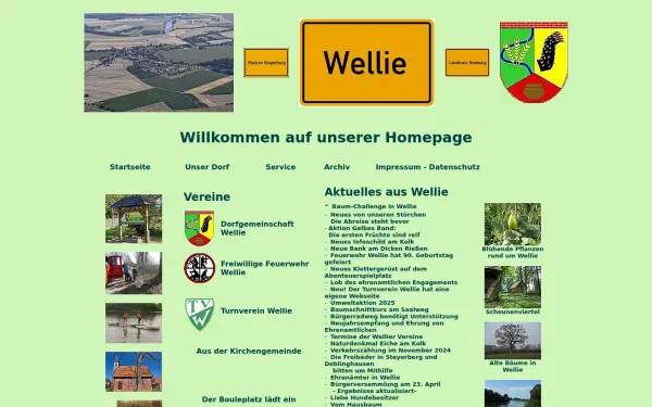 dorfgemeinschaft-wellie.de