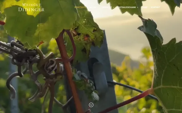 www.weingut-didinger.de