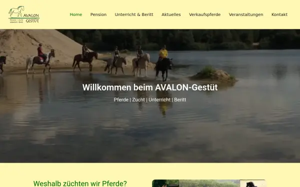 www.avalon-gestuet.de