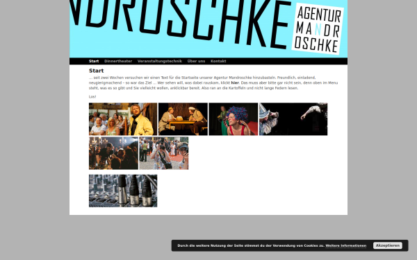 www.agentur-mandroschke.de