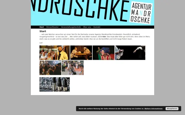 www.agentur-mandroschke.de