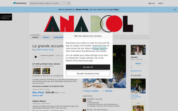 anadol.bandcamp.com