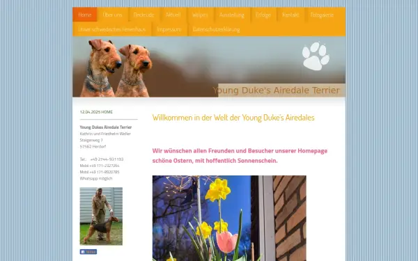 www.airedale-youngdukes.de