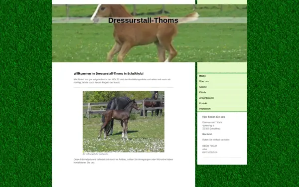 www.dressurstall-thoms.de