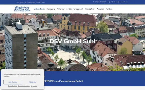 www.dsvgmbh.de