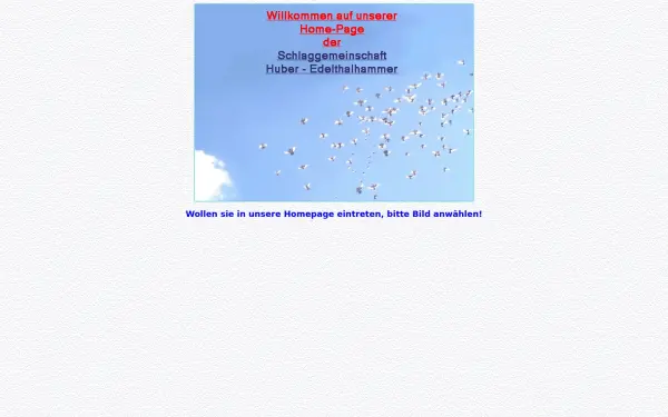 alois-huber-brieftauben.de