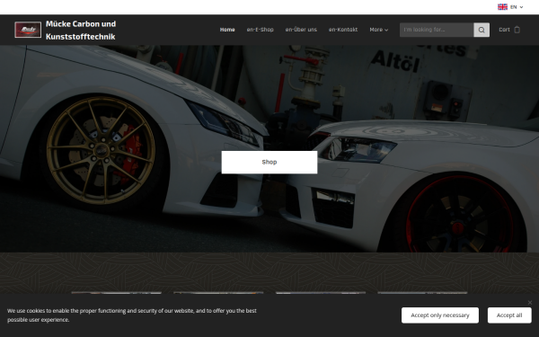 www.muecke-carbon-gfk.de