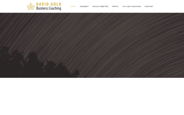 gold-coaching.de