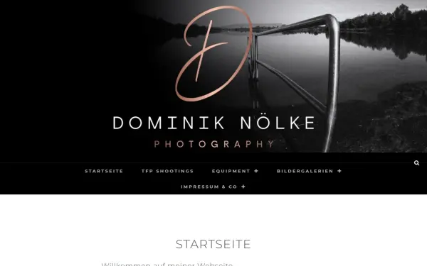 dnoelke.de