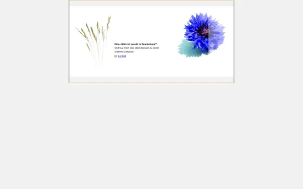 afigge.de