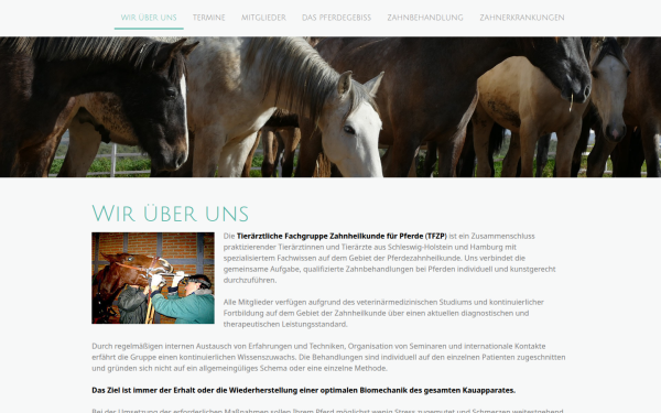 www.tfzp.de