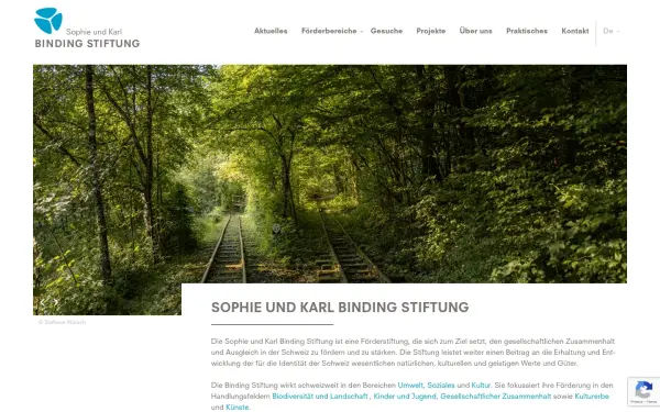 www.binding-stiftung.ch