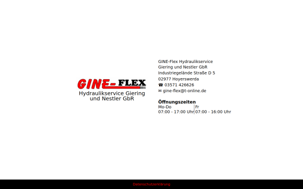 gine-flex.de