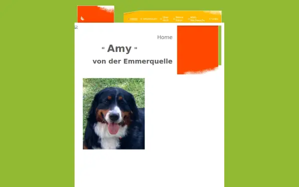 amy-von-der-emmerquelle.de