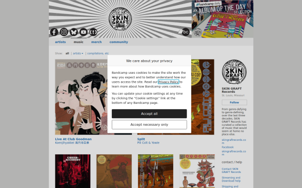 skingraftrecords.bandcamp.com
