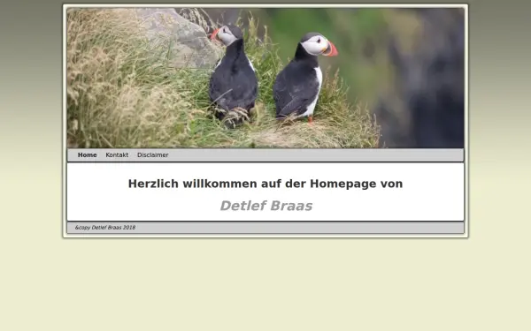 detlef-braas.de