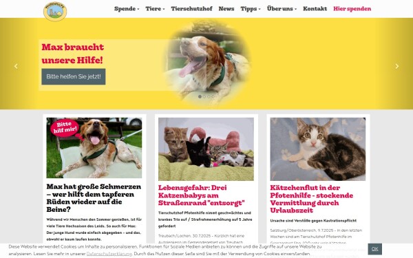 www.pfotenhilfe.org