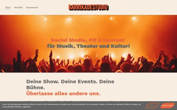 barrikadestudio.com