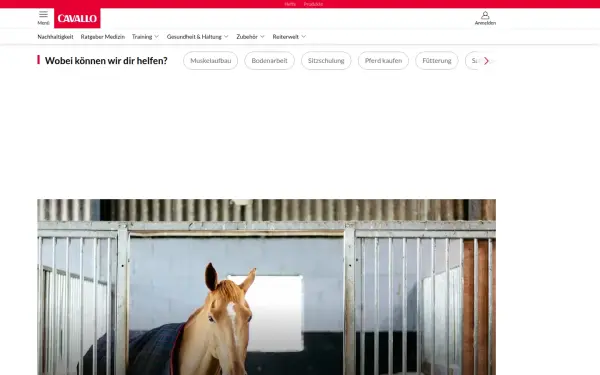 www.cavallo.de