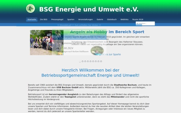 bsg-energieundumwelt.de