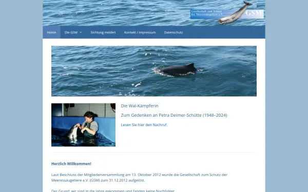 gsm-online.org