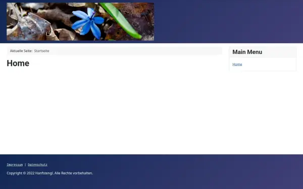 hanfstengl.de