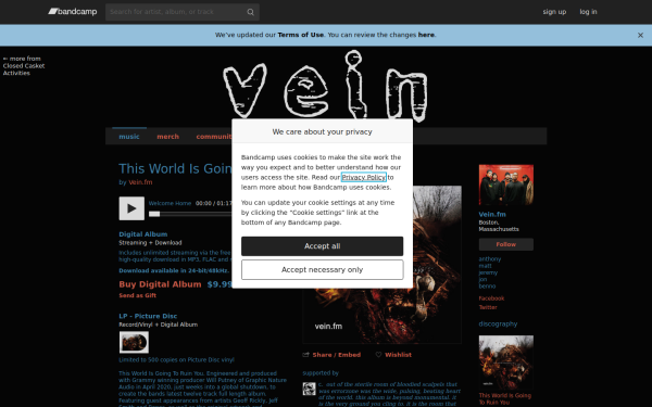 veinband.bandcamp.com