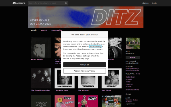 ditzband.bandcamp.com