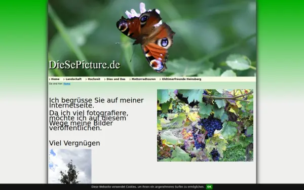 diesepicture.de