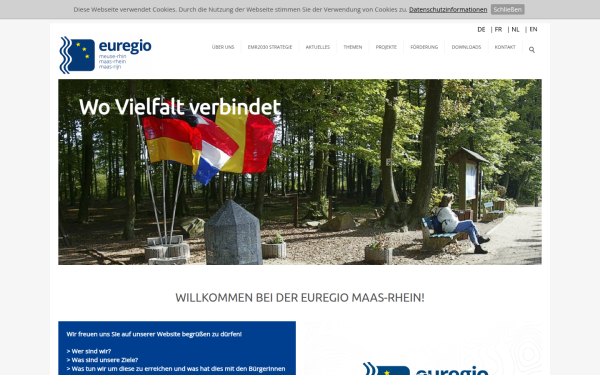euregio-mr.info