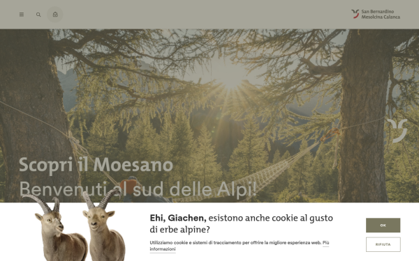 www.visit-moesano.ch