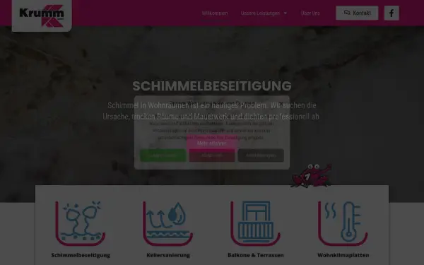www.krumm-wolfsburg.de