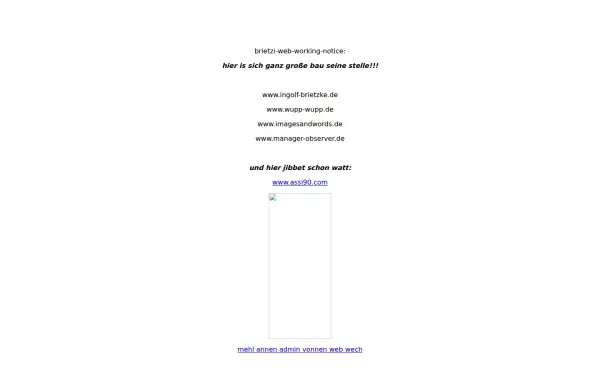 manager-observer.de