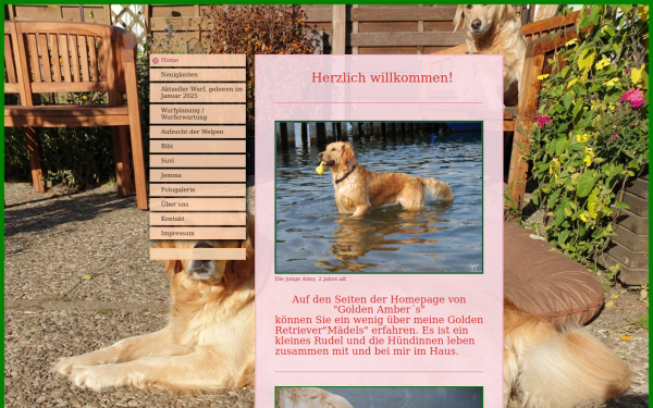 www.golden-aimy.de
