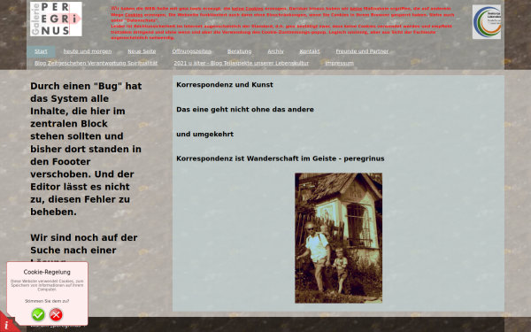galerie-peregrinus.de