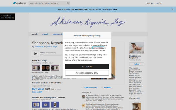 shabasonandkrgovich.bandcamp.com
