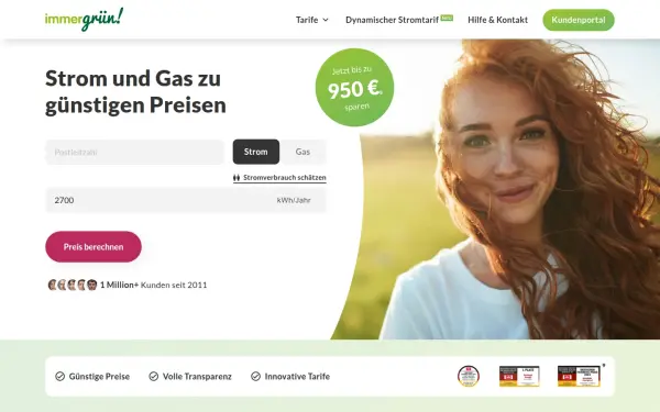 immergruen-energie.de