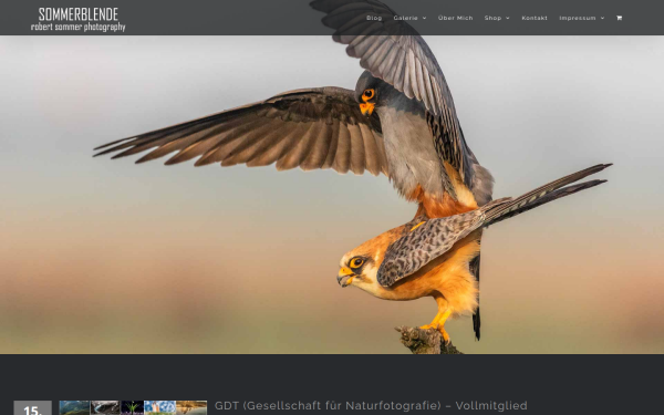 www.sommerblende.de